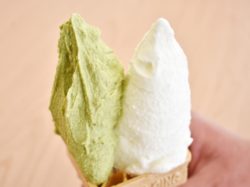 Picco Gelateria Yatsugatake【閉店】