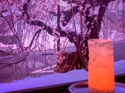 魁本店　居酒屋　富士吉田10