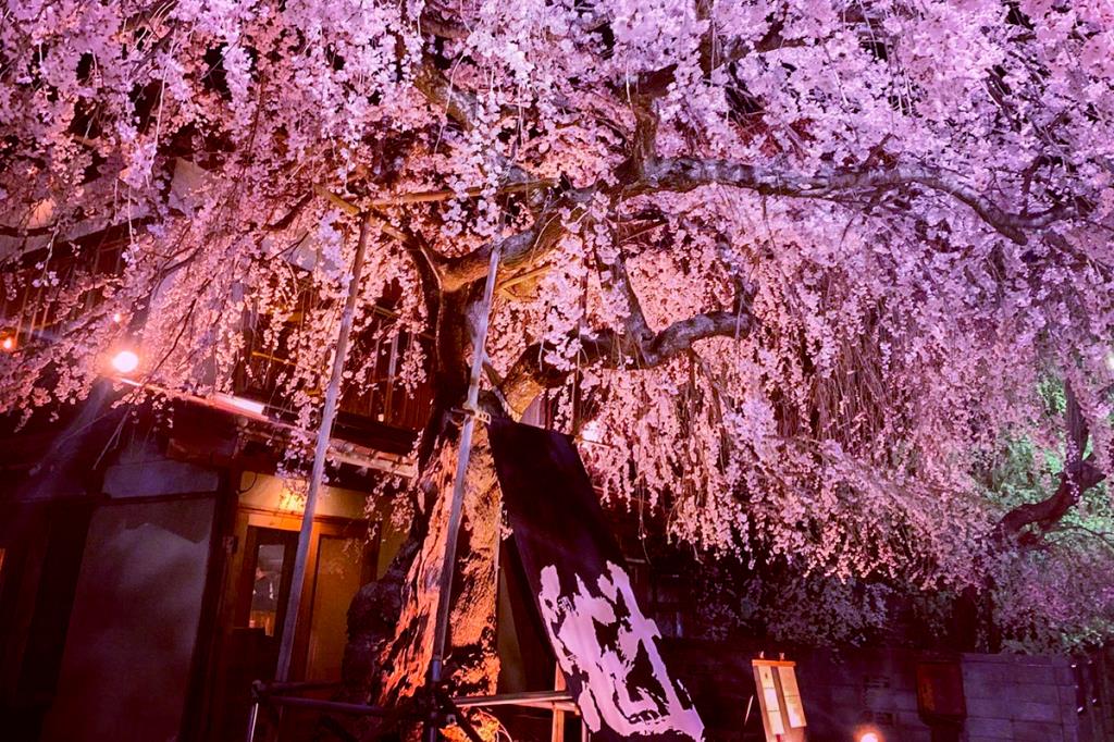 魁本店　居酒屋　富士吉田5
