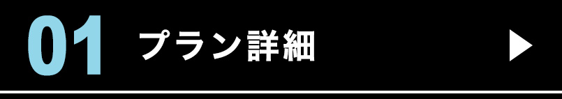 プラン詳細