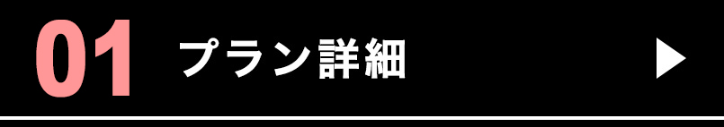 プラン詳細