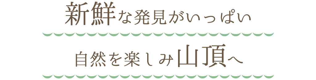 新鮮な発見がいっぱい自然を楽しみ山頂へ
