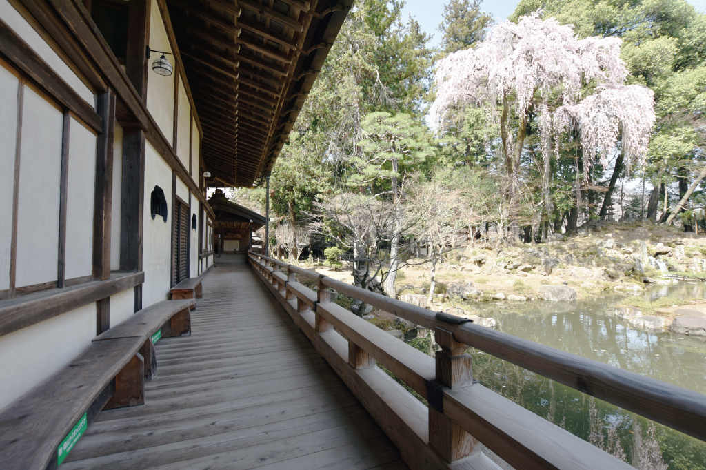 恵林寺のフォトギャラリー2