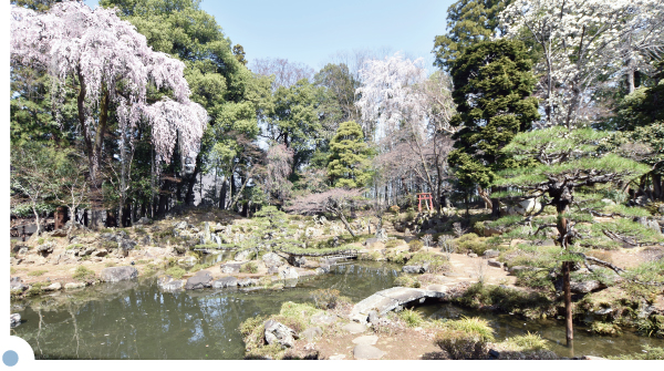 恵林寺の庭園2
