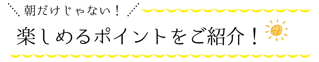 朝だけじゃない！楽しめるポイントをご紹介！