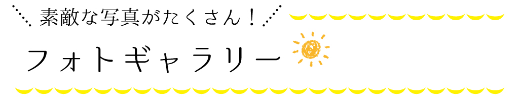 素敵な写真がたくさん！フォトギャラリー