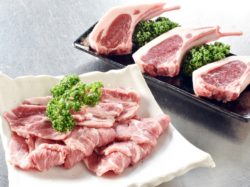 達磨屋 焼肉 ジンギスカン 2