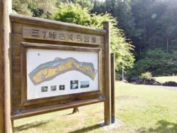三ツ峠さくら公園 西桂町 遊ぶ学ぶ 公園 1