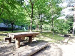 三ツ峠さくら公園 西桂町 遊ぶ学ぶ 公園 2