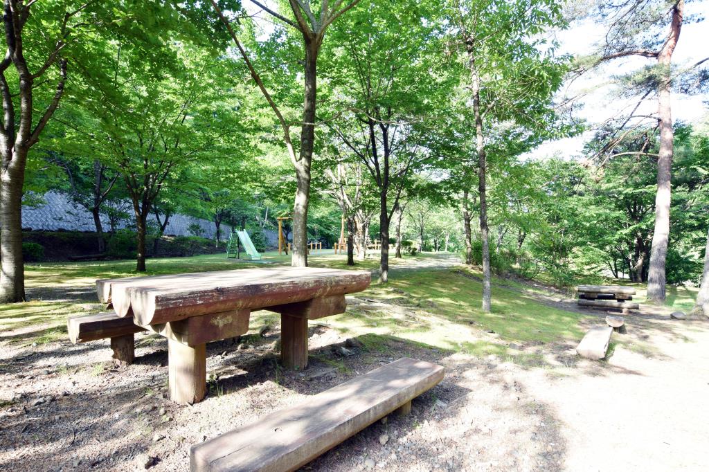 三ツ峠さくら公園 西桂町 遊ぶ学ぶ 公園 2