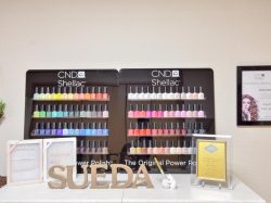 Suèda。～beauty & health～ 昭和町 エステ 2