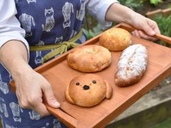 ちいさなパン工房 あきらぱん