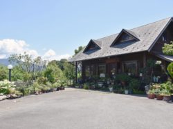 花恋 山梨市 グルメ カフェ/喫茶店 5