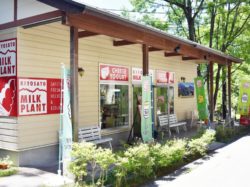 清里ミルクプラント 八ヶ岳リゾートアウトレット店 北杜市 スイーツ 5