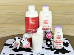 清里ミルクプラント 八ヶ岳リゾートアウトレット店 北杜市 スイーツ 3
