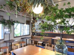 桃農家café ラ・ペスカ 山梨市 グルメ カフェ 4