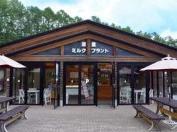 清里ミルクプラント 清里ともにこの森 本店 北杜市 スイーツ 5
