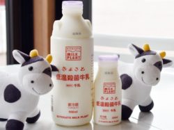 清里ミルクプラント 清里ともにこの森 本店