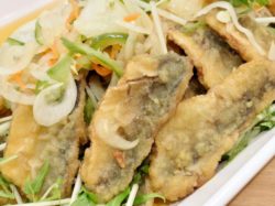 REWARD KITCHEN 昭和町 洋食 3