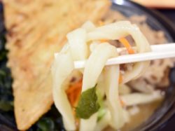 吉田のうどん とがわ 富士吉田市 グルメ うどん 2