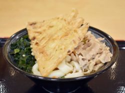 吉田のうどん とがわ