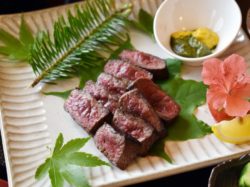 八ヶ岳小僧