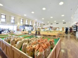 風土記の丘農産物直売所 甲府市 遊ぶ学ぶ 道の駅SAPA 2