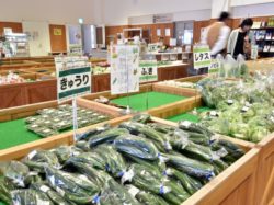 風土記の丘農産物直売所 甲府市 遊ぶ学ぶ 道の駅SAPA 3