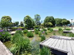 八田御朱印公園 笛吹市 公園 4