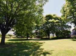 八田御朱印公園 笛吹市 公園 2