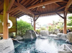はやぶさ温泉 山梨市 温泉 3