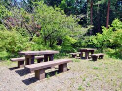 憩の森公園 西桂町 遊ぶ学ぶ 公園 4