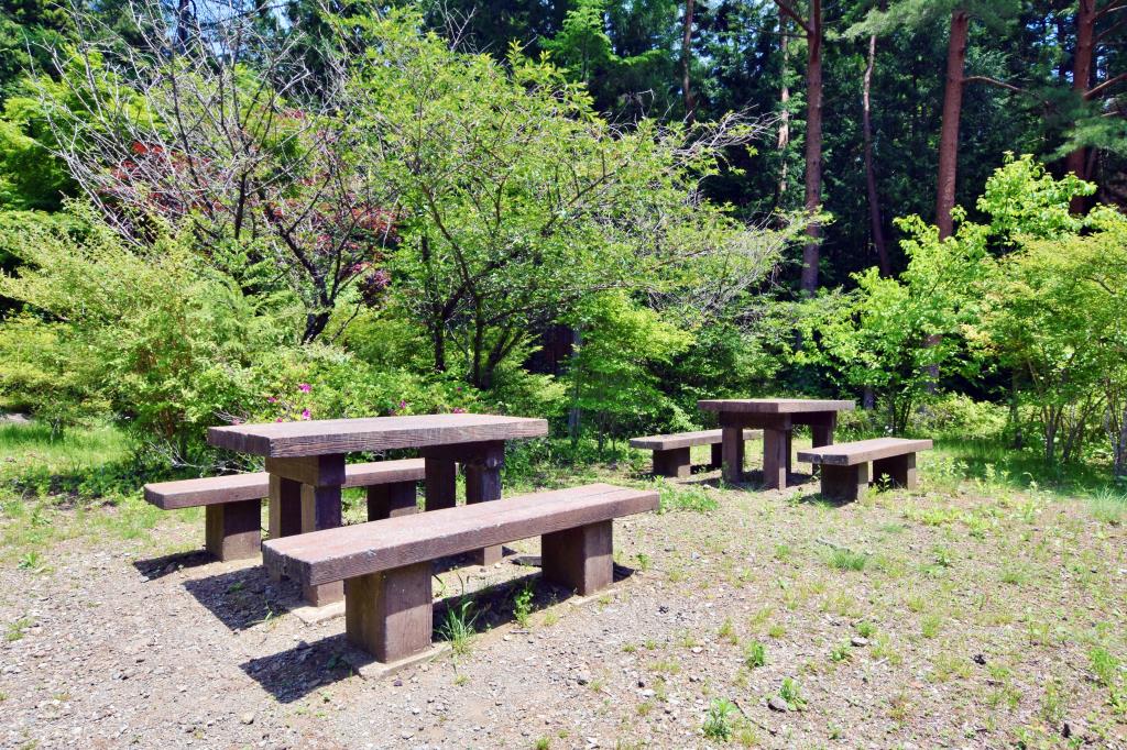 憩の森公園 西桂町 遊ぶ学ぶ 公園 4