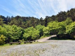 憩の森公園 西桂町 遊ぶ学ぶ 公園 2
