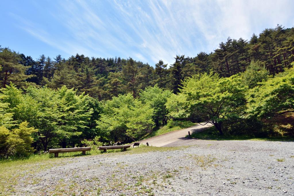 憩の森公園 西桂町 遊ぶ学ぶ 公園 2