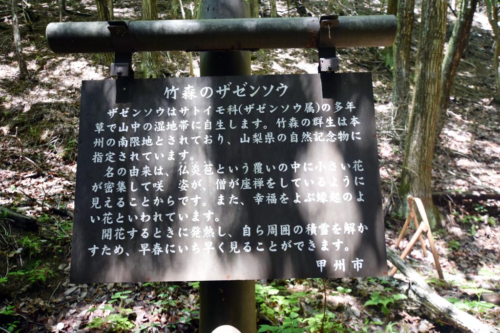 玉宮ザゼン草公園 甲州市 公園 4