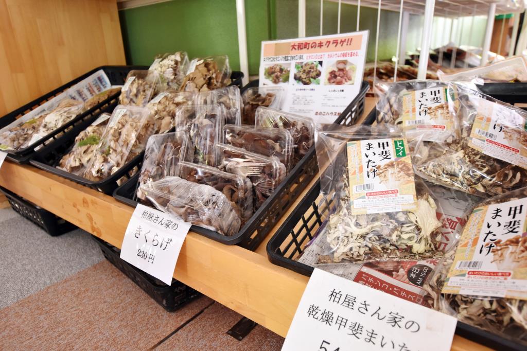 やまと天目山温泉 甲州市 温泉 5