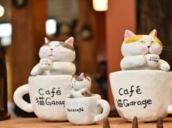 猫Garage 笛吹市 NEWショップ 5