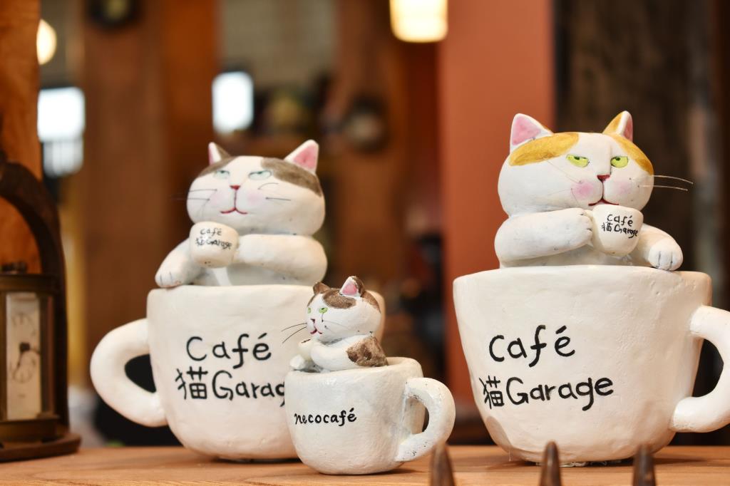 猫Garage 笛吹市 NEWショップ 5