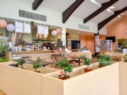 くだもの厨房オーチャードカフェ街の駅 山梨市 グルメ カフェ 3