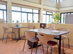くだもの厨房オーチャードカフェ街の駅 山梨市 グルメ カフェ 4