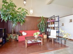 Hair Shop Lien 中央市 ヘア ネイル まつエク 5
