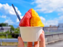 Gelateria HUCKLEBERRY【閉店】