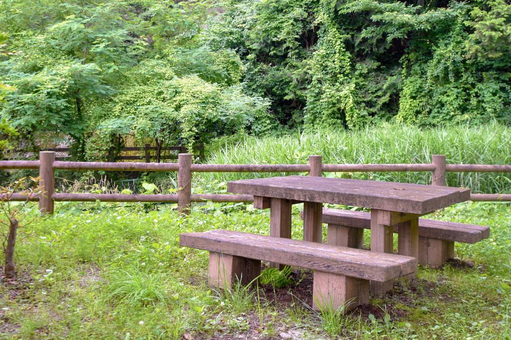 大和スポーツ公園 甲州市 スポーツ 4