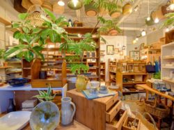 konoha 甲府市 NEWショップ 2