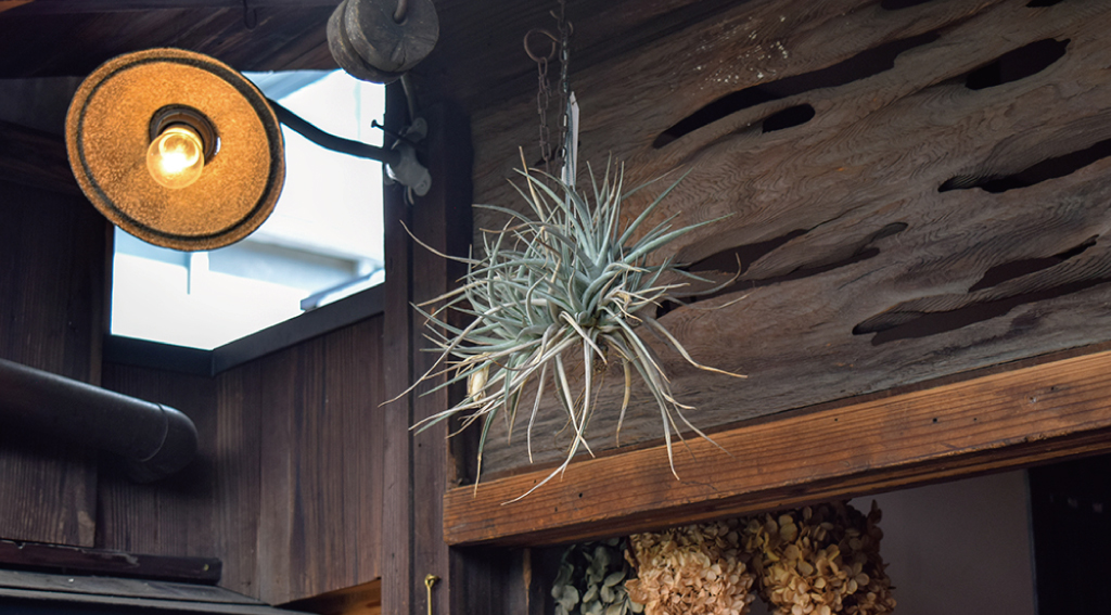 ナオミキャンプの内装7