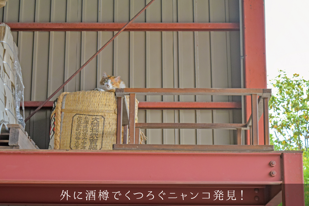蔵元ごはん＆カフェ 酒蔵櫂のフォトギャラリー6
