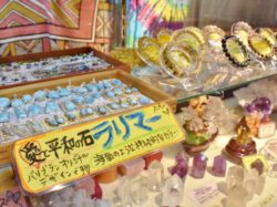 アジアン雑貨直輸入店　バリブラン 富士河口湖町 NEWショップ 5