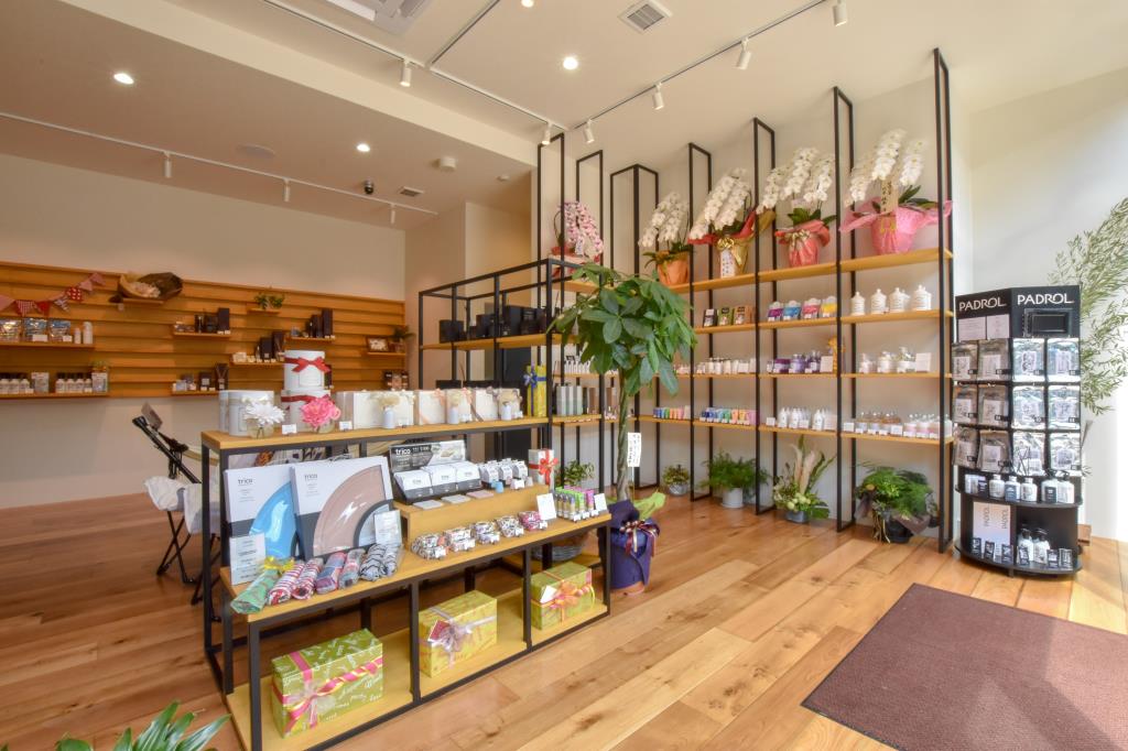 Lupinus 甲府市 ショップ 2