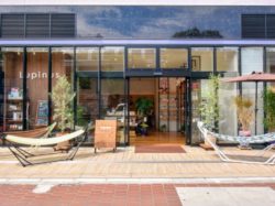 Lupinus【閉店】
